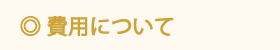 hiyou_4